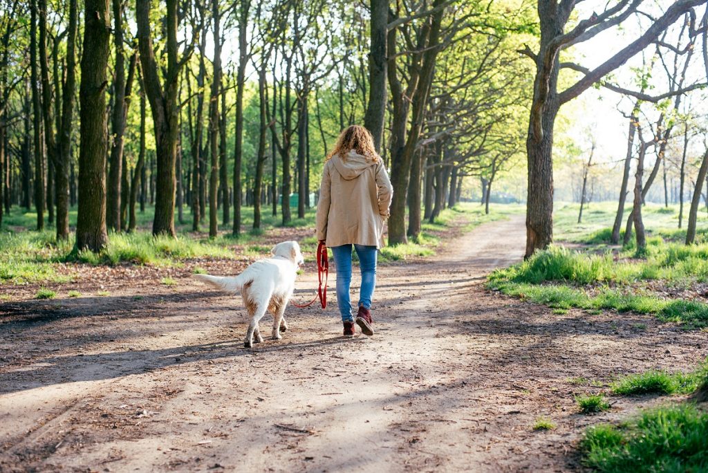 Artinasi intensyviausia žiedadulkių banga – kaip nuo jos apsisaugoti?