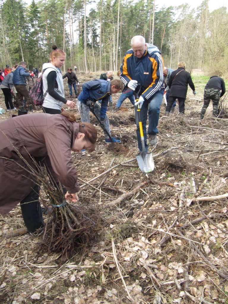 Šimtmečio ąžuolyną sodino ir Sidabravo gimnazijos bendruomenė