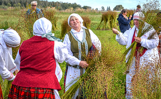 Linarovis Kleboniškių kaimo buities muziejuje