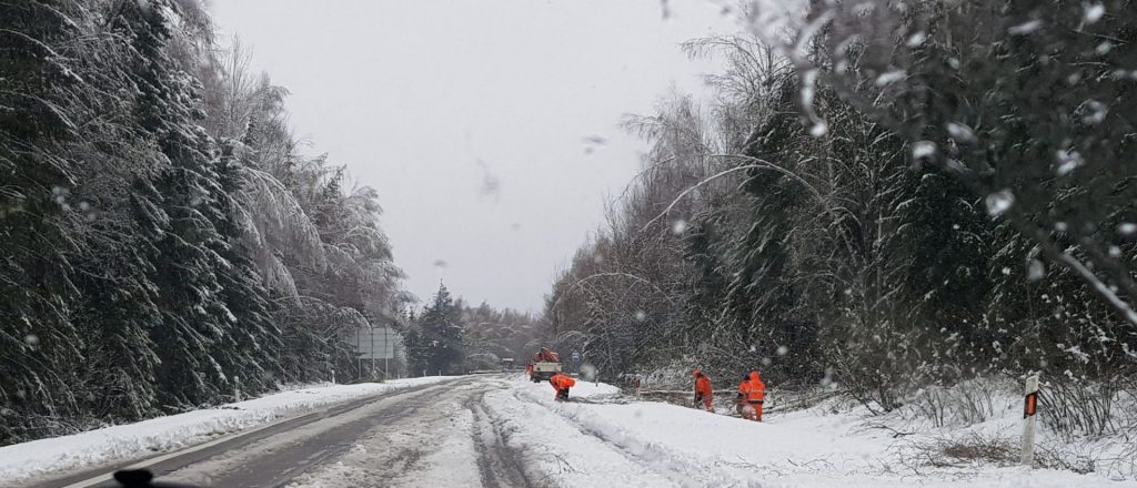 Gamtos pavasarinės išdaigos pareikalavo operatyviųjų tarnybų sutelktumo