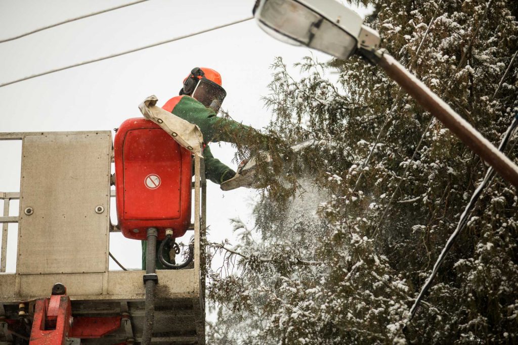 Katastrofinio vėjo iššūkiai elektros tinklams: daugiausia gedimų – trumpalaikiai, jie pašalinti du kartus greičiau nei prieš metus