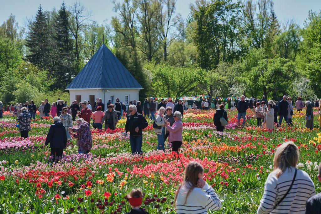 Burbiškio dvaro Tulpių žydėjimo šventėje – gausybė lankytojų, žiedų ir pramogų