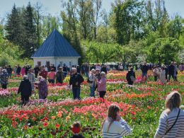 Burbiškio dvaro Tulpių žydėjimo šventėje – gausybė lankytojų, žiedų ir pramogų