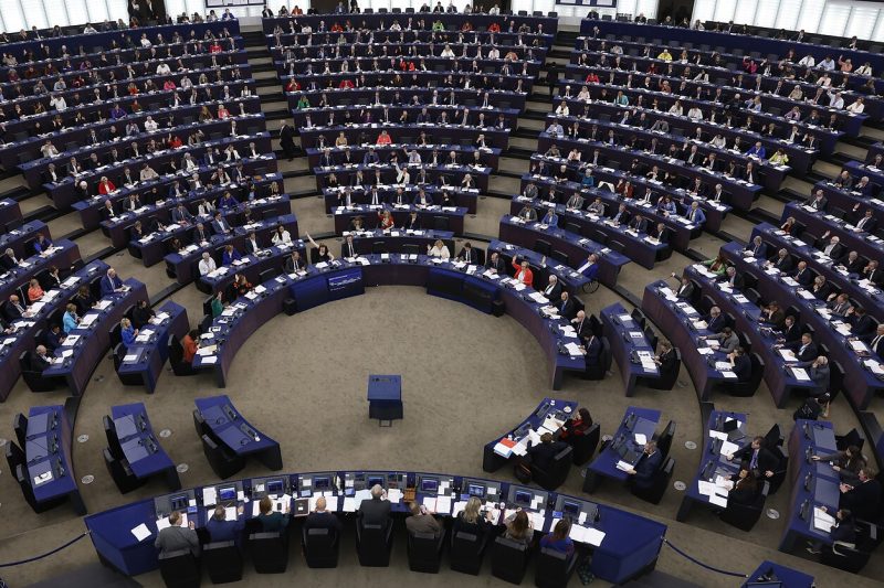 Europos Parlamento rinkimų rezultatai kaip balsuota Radviliškio rajone