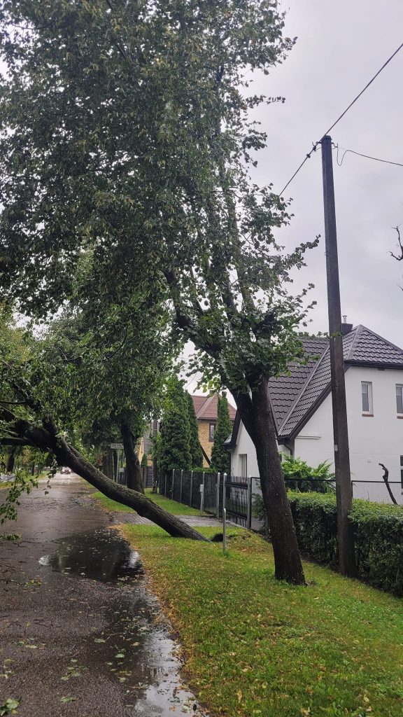 Pasiruošti audrai gyventojai negalėjo: stichinis vėjas ir liūtys niokojo Radviliškio rajoną