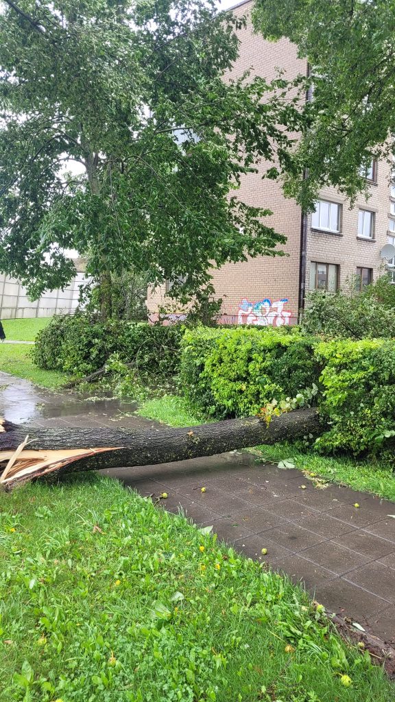 Pasiruošti audrai gyventojai negalėjo: stichinis vėjas ir liūtys niokojo Radviliškio rajoną