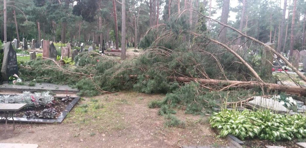 Pasiruošti audrai gyventojai negalėjo: stichinis vėjas ir liūtys niokojo Radviliškio rajoną