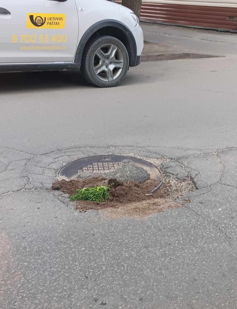 Smūgis rajono valdžiai: neveiklumu neapsikentę šeduviai į gatvių duobes pasodino gėles