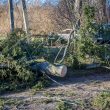 Stipraus vėjo verčiami medžiai laidus nutraukė tūkstantyje šalies vietų, pažeidimus tvarko per 200 ESO brigadų